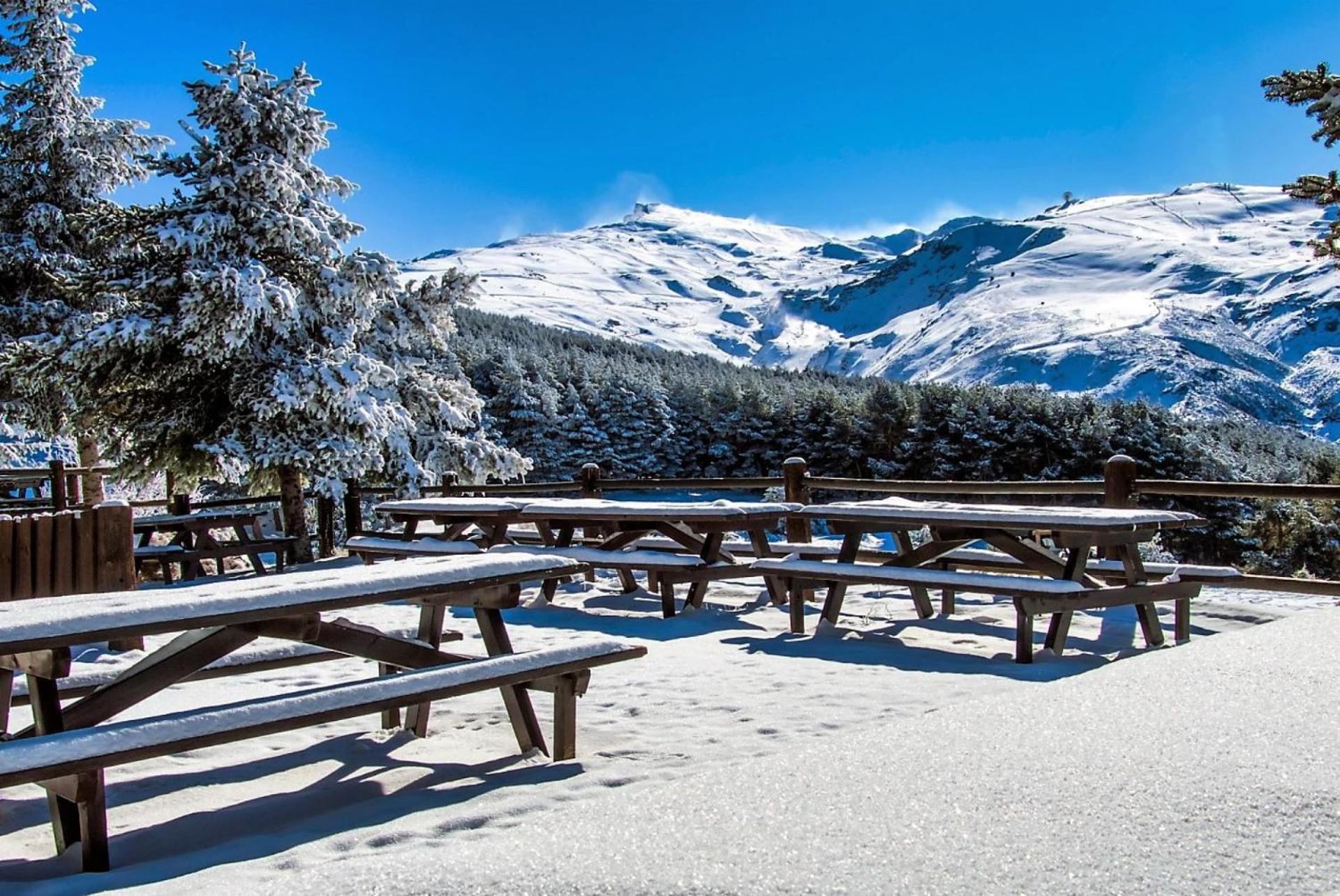 Todosierranevada Zona Baja - Apartamentos De 4 Dormitorios - Junto A Los Telecabinas Sierra Nevada Exterior photo